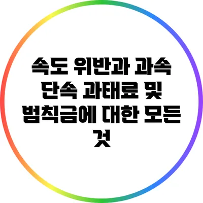 속도 위반과 과속 단속: 과태료 및 범칙금에 대한 모든 것