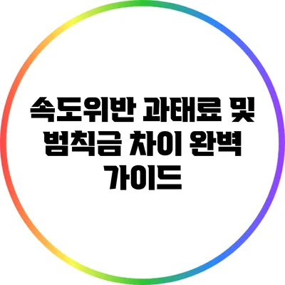 속도위반 과태료 및 범칙금 차이 완벽 가이드