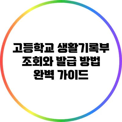 고등학교 생활기록부 조회와 발급 방법 완벽 가이드