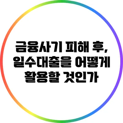금융사기 피해 후, 일수대출을 어떻게 활용할 것인가?