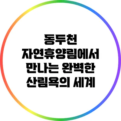 동두천 자연휴양림에서 만나는 완벽한 산림욕의 세계