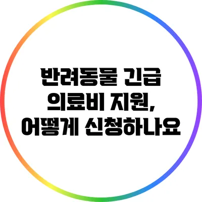 반려동물 긴급 의료비 지원, 어떻게 신청하나요?