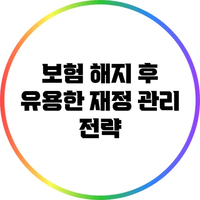 보험 해지 후 유용한 재정 관리 전략