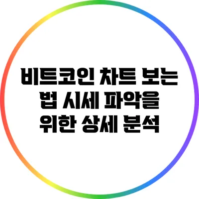 비트코인 차트 보는 법: 시세 파악을 위한 상세 분석