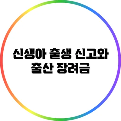 신생아 출생 신고와 출산 장려금