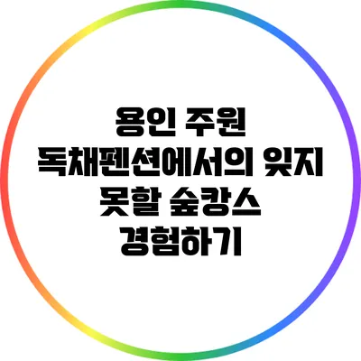 용인 주원 독채펜션에서의 잊지 못할 숲캉스 경험하기