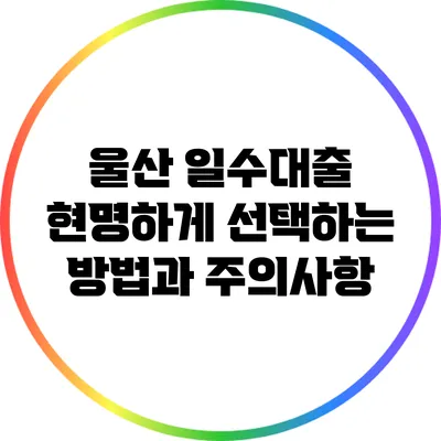 울산 일수대출: 현명하게 선택하는 방법과 주의사항