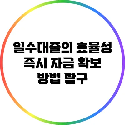 일수대출의 효율성: 즉시 자금 확보 방법 탐구