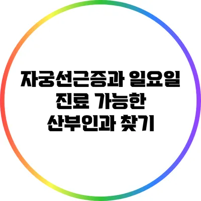 자궁선근증과 일요일 진료 가능한 산부인과 찾기