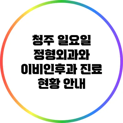 청주 일요일 정형외과와 이비인후과 진료 현황 안내