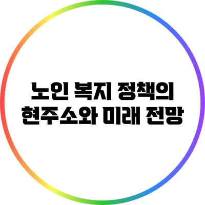 노인 복지 정책의 현주소와 미래 전망