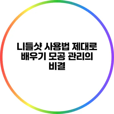 니들샷 사용법 제대로 배우기: 모공 관리의 비결