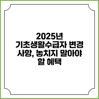 2025년 기초생활수급자 변경 사항, 놓치지 말아야 할 혜택