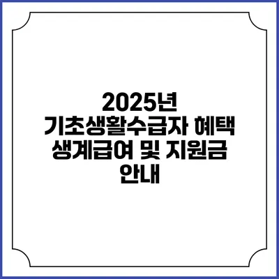 2025년 기초생활수급자 혜택 생계급여 및 지원금 안내