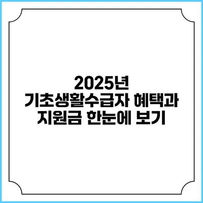 2025년 기초생활수급자 혜택과 지원금 한눈에 보기
