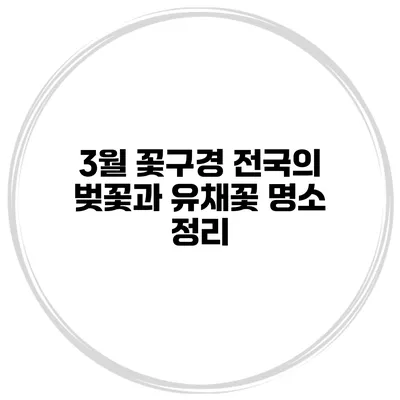 3월 꽃구경 전국의 벚꽃과 유채꽃 명소 정리