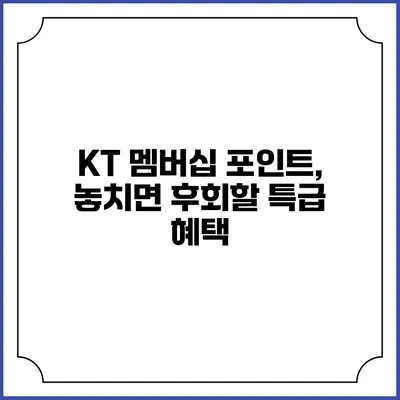 KT 멤버십 포인트, 놓치면 후회할 특급 혜택
