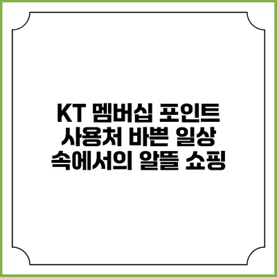 KT 멤버십 포인트 사용처 바쁜 일상 속에서의 알뜰 쇼핑