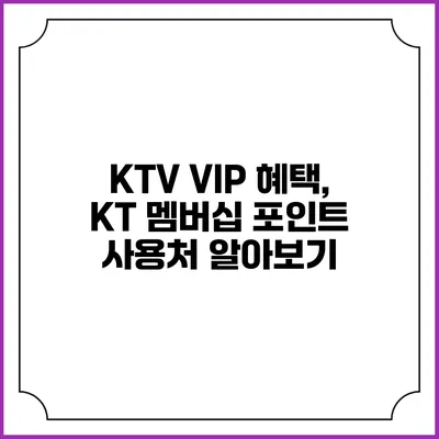KTV VIP 혜택, KT 멤버십 포인트 사용처 알아보기