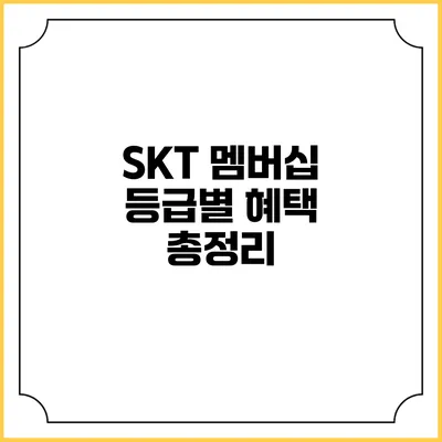 SKT 멤버십 등급별 혜택 총정리
