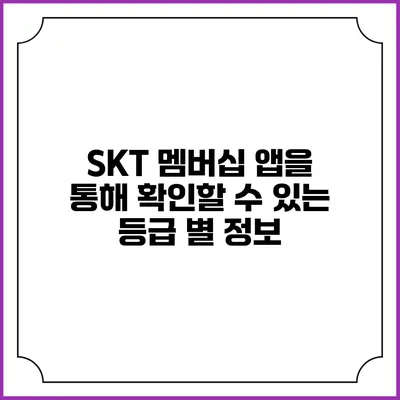 SKT 멤버십 앱을 통해 확인할 수 있는 등급 별 정보