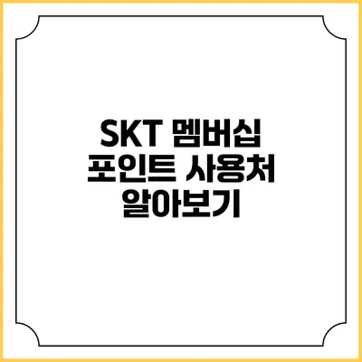 SKT 멤버십 포인트 사용처 알아보기