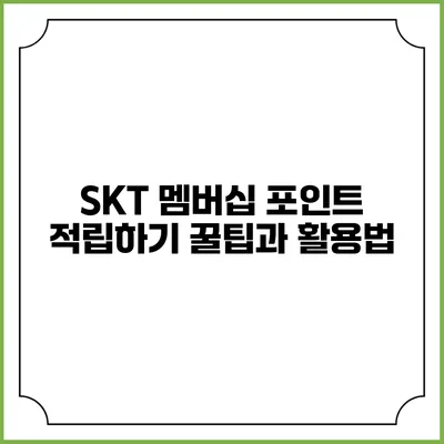 SKT 멤버십 포인트 적립하기 꿀팁과 활용법