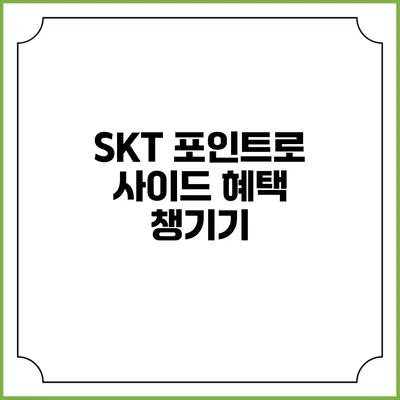 SKT 포인트로 사이드 혜택 챙기기