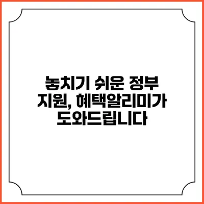 놓치기 쉬운 정부 지원, 혜택알리미가 도와드립니다