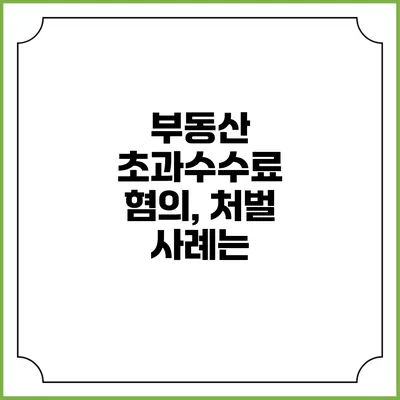 부동산 초과수수료 혐의, 처벌 사례는?