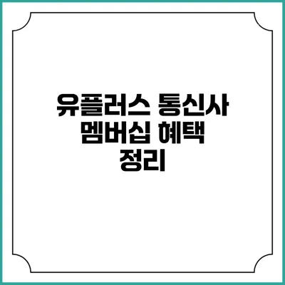 유플러스 통신사 멤버십 혜택 정리