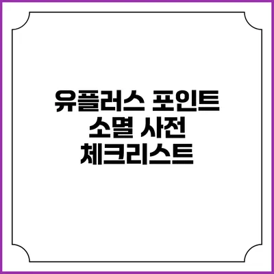 유플러스 포인트 소멸 사전 체크리스트