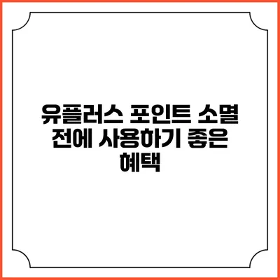 유플러스 포인트 소멸 전에 사용하기 좋은 혜택