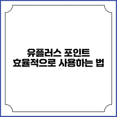 유플러스 포인트 효율적으로 사용하는 법