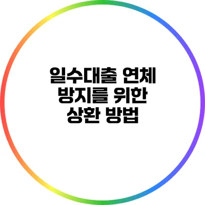 일수대출 연체 방지를 위한 상환 방법