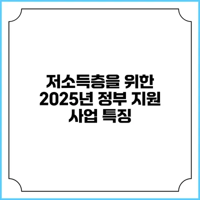 저소득층을 위한 2025년 정부 지원 사업 특징