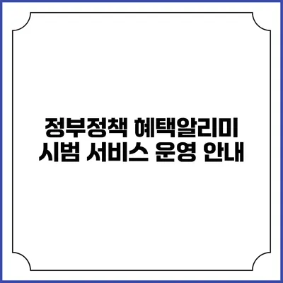 정부정책 혜택알리미 시범 서비스 운영 안내