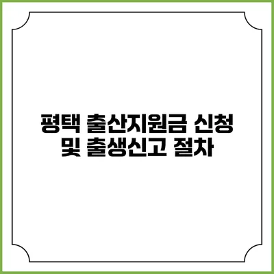 평택 출산지원금 신청 및 출생신고 절차