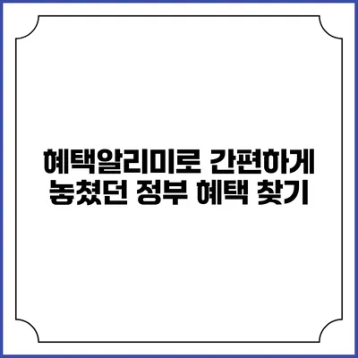 혜택알리미로 간편하게 놓쳤던 정부 혜택 찾기