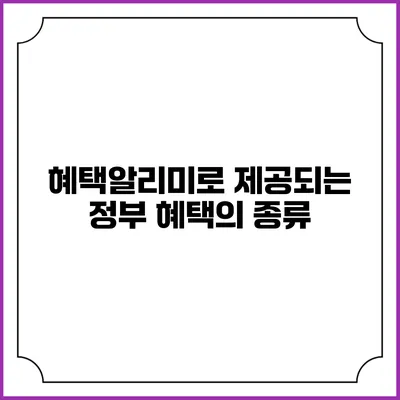 혜택알리미로 제공되는 정부 혜택의 종류