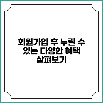 회원가입 후 누릴 수 있는 다양한 혜택 살펴보기