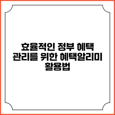 효율적인 정부 혜택 관리를 위한 혜택알리미 활용법
