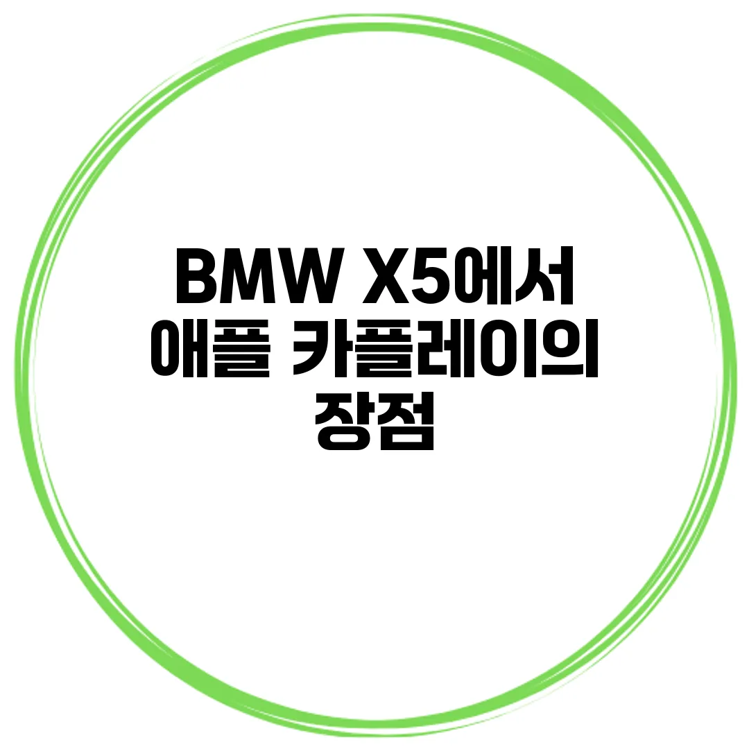 BMW X5에서 애플 카플레이의 장점