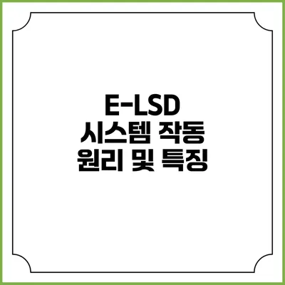 E-LSD 시스템 작동 원리 및 특징