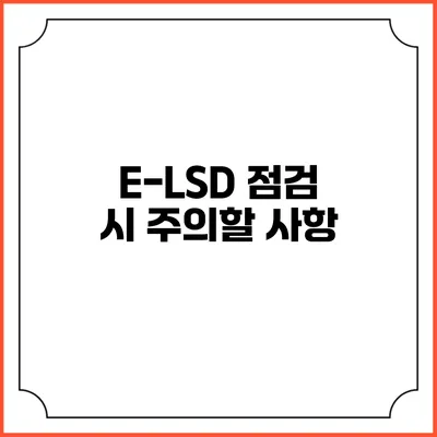 E-LSD 점검 시 주의할 사항