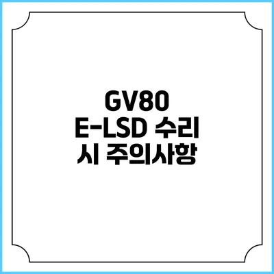 GV80 E-LSD 수리 시 주의사항