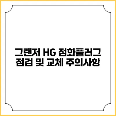 그랜저 HG 점화플러그 점검 및 교체 주의사항