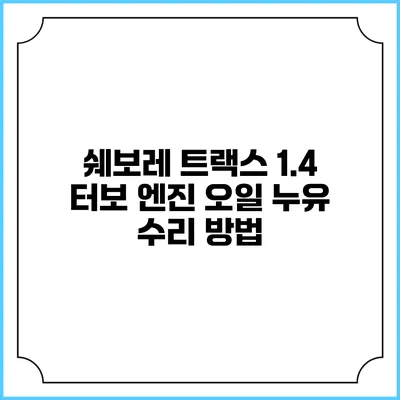 쉐보레 트랙스 1.4 터보 엔진 오일 누유 수리 방법