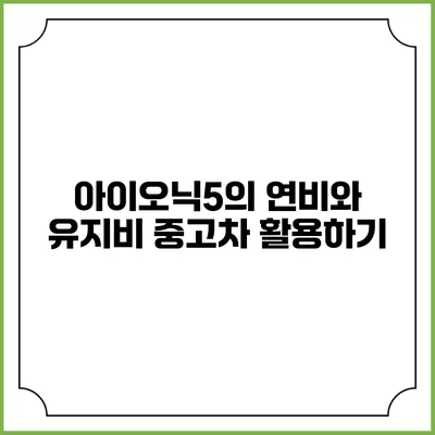 아이오닉5의 연비와 유지비 중고차 활용하기