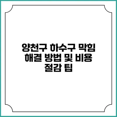 양천구 하수구 막힘 해결 방법 및 비용 절감 팁